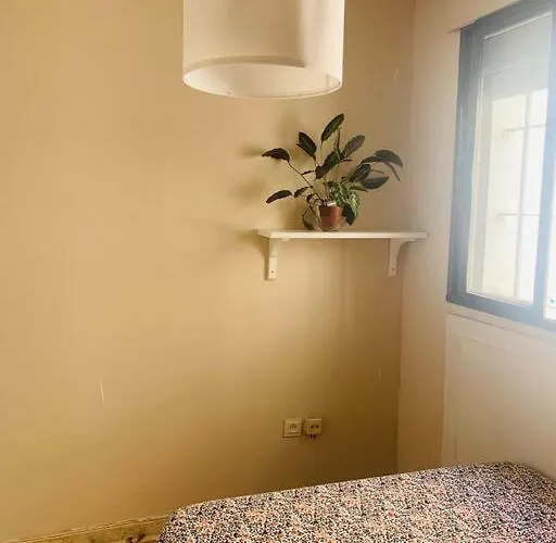 Lägenhet Piso Coqueto Centrico En Jerez